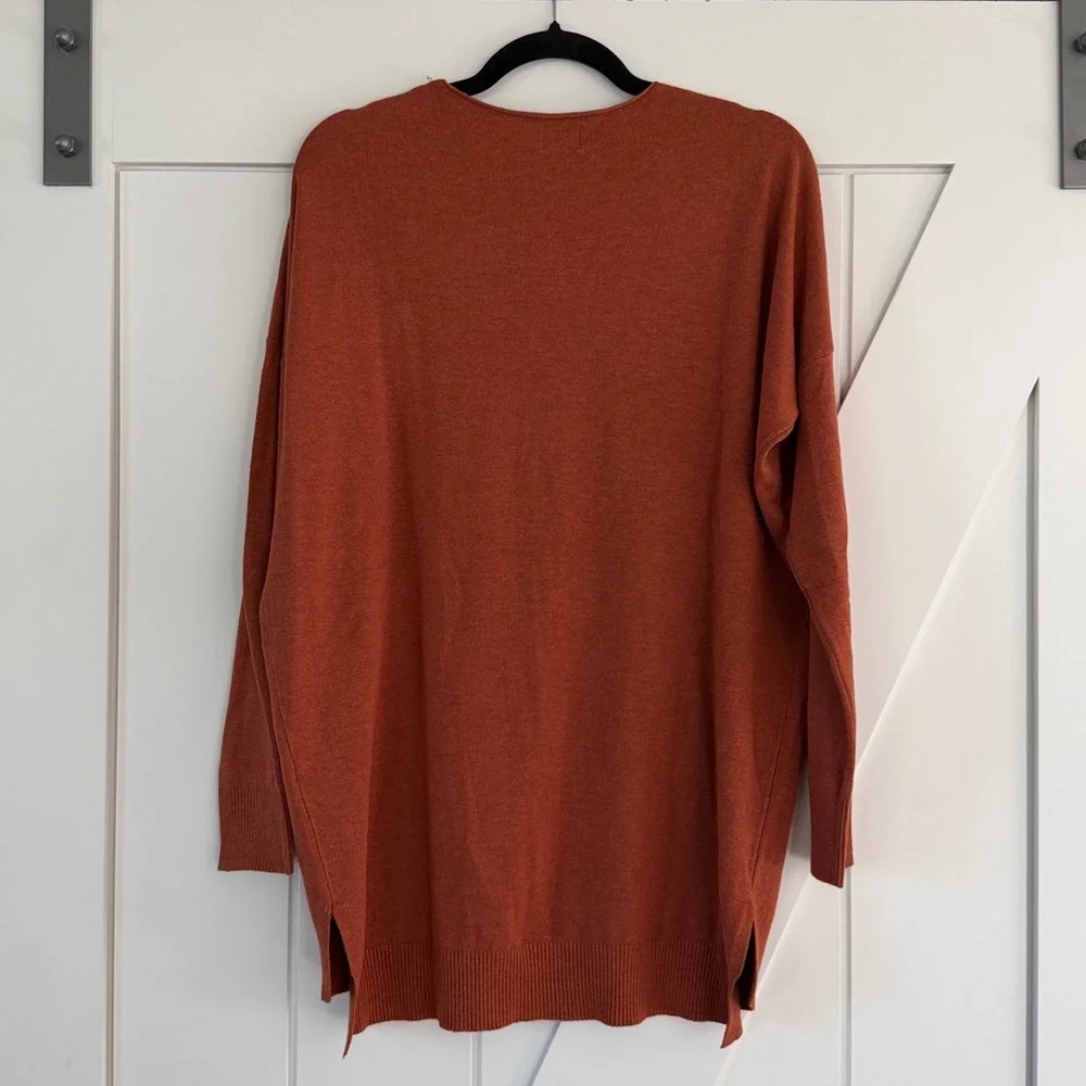 Dreamers by Debut Rust V Neck Front Seam Sweater